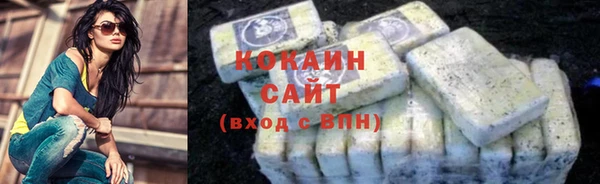 молекула духа Елизово