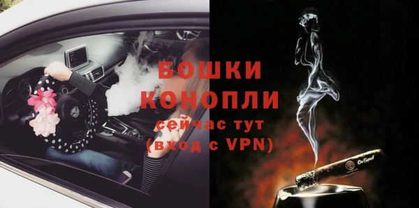 молекула духа Елизово