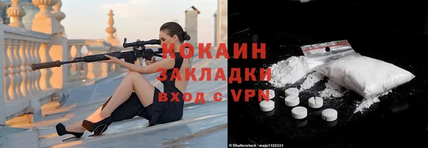 молекула духа Елизово