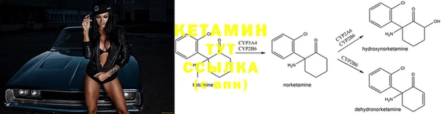 молекула духа Елизово
