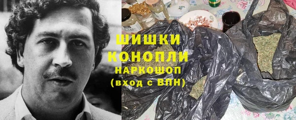 молекула духа Елизово