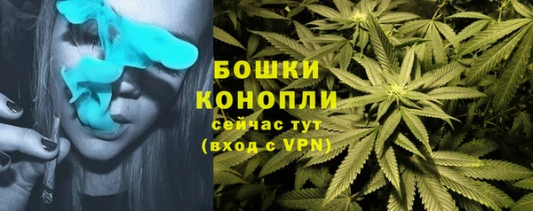 винт Елабуга