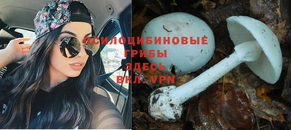 молекула духа Елизово