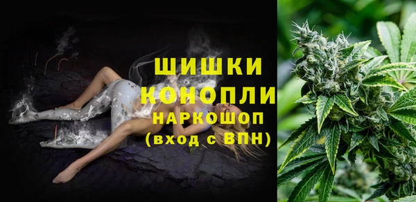 молекула духа Елизово