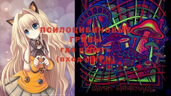 молекула духа Елизово